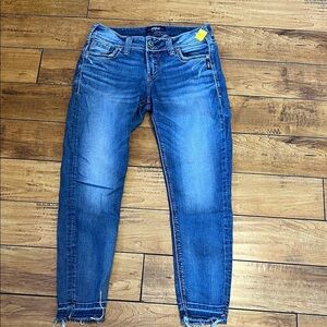 Silver Jeans Elyse ankle skinny